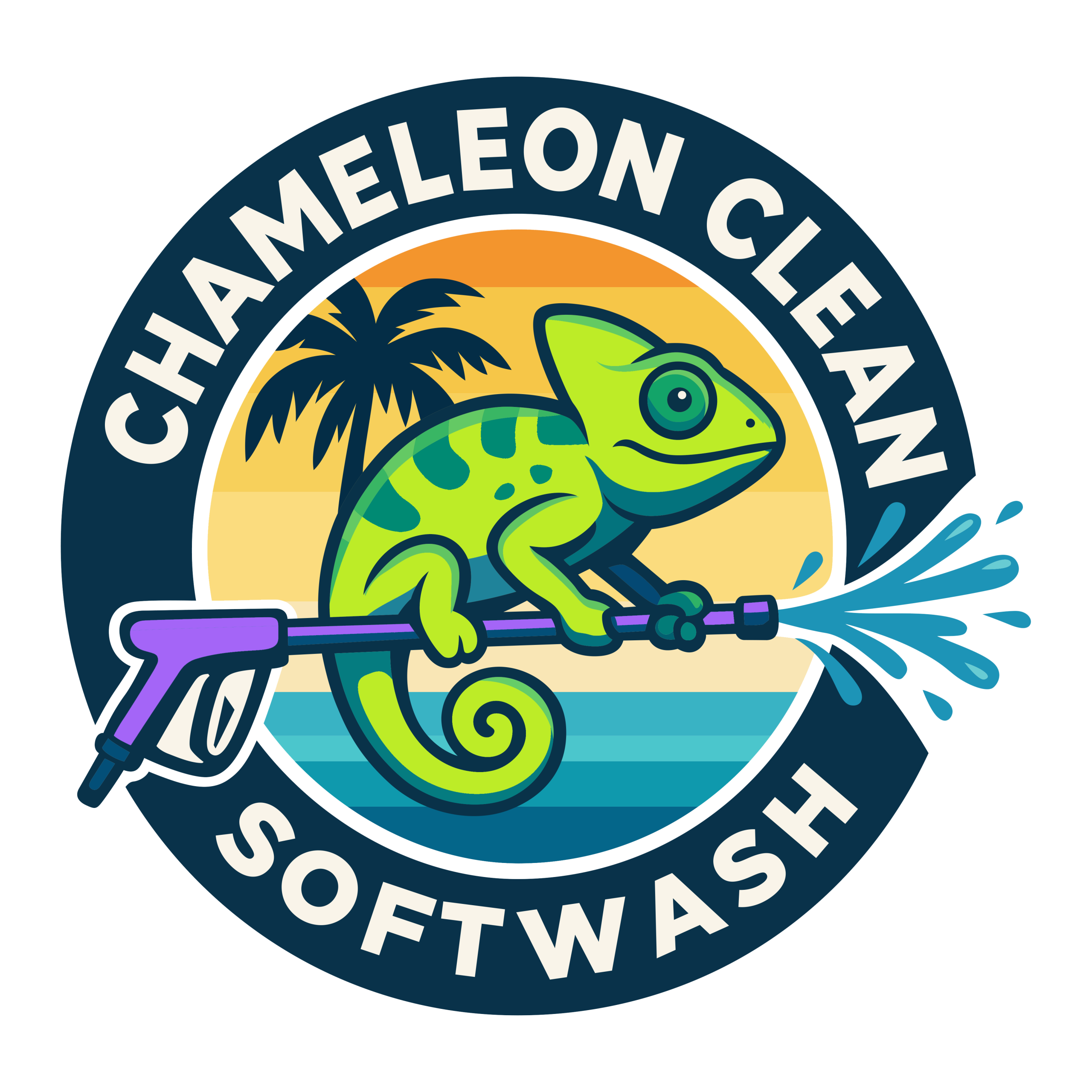 Chameleon Clean Softwash