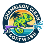 Chameleon Clean logo